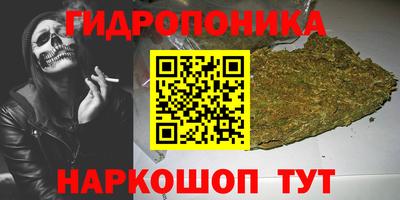 СК Пугачёв